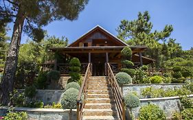 Ricky Chalet Near Troodos