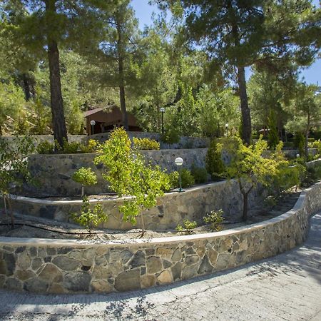 Ricky Chalet Near Troodos Βίλα Σπήλια Εξωτερικό φωτογραφία