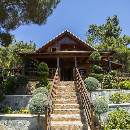 Ricky Chalet Near Troodos Βίλα Σπήλια Εξωτερικό φωτογραφία