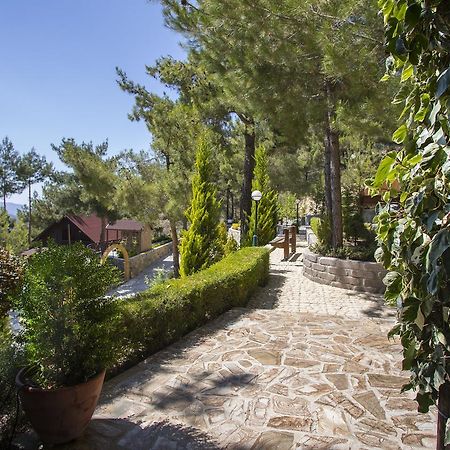 Ricky Chalet Near Troodos Βίλα Σπήλια Εξωτερικό φωτογραφία