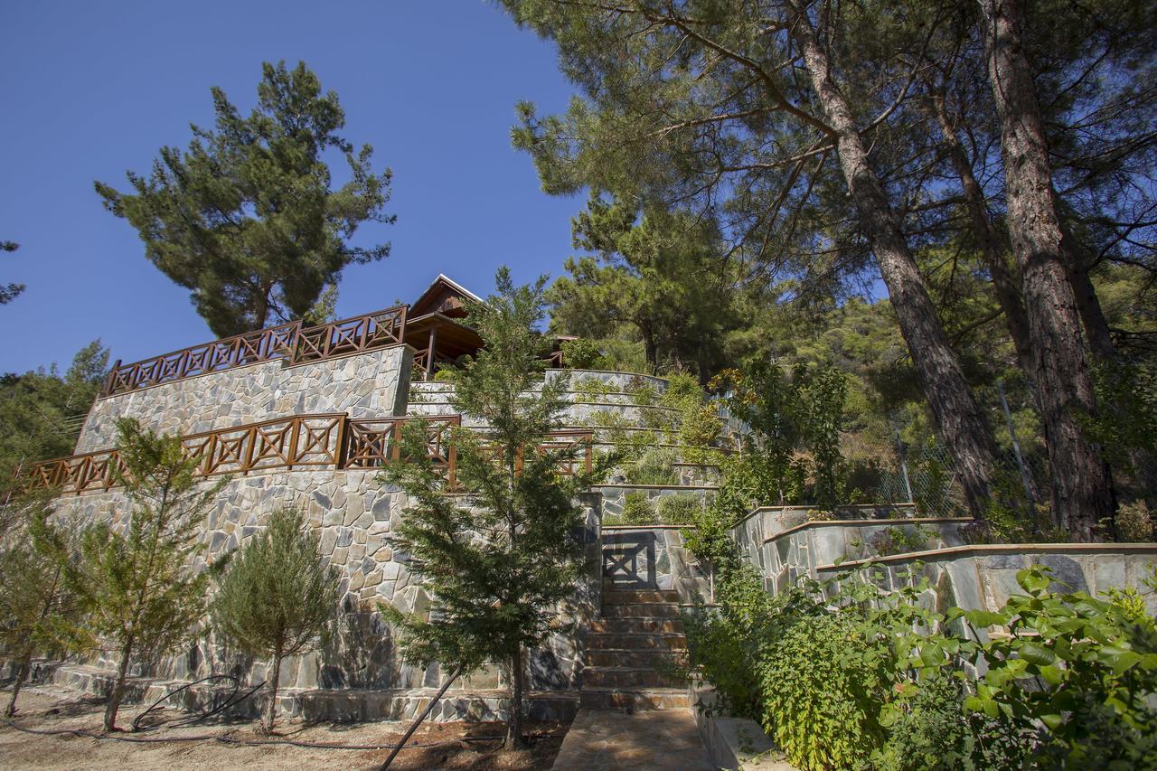 Ricky Chalet Near Troodos Βίλα Σπήλια Εξωτερικό φωτογραφία