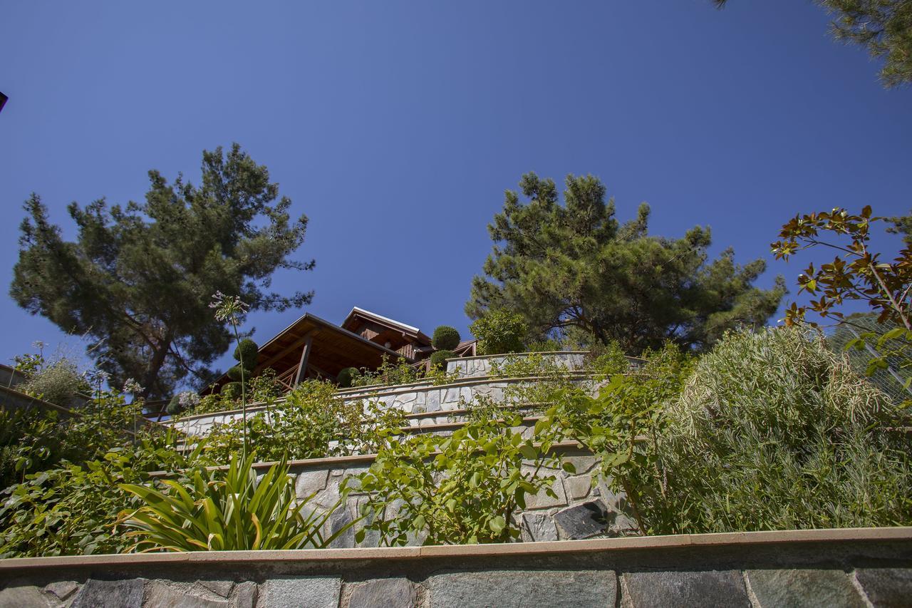 Ricky Chalet Near Troodos Βίλα Σπήλια Εξωτερικό φωτογραφία