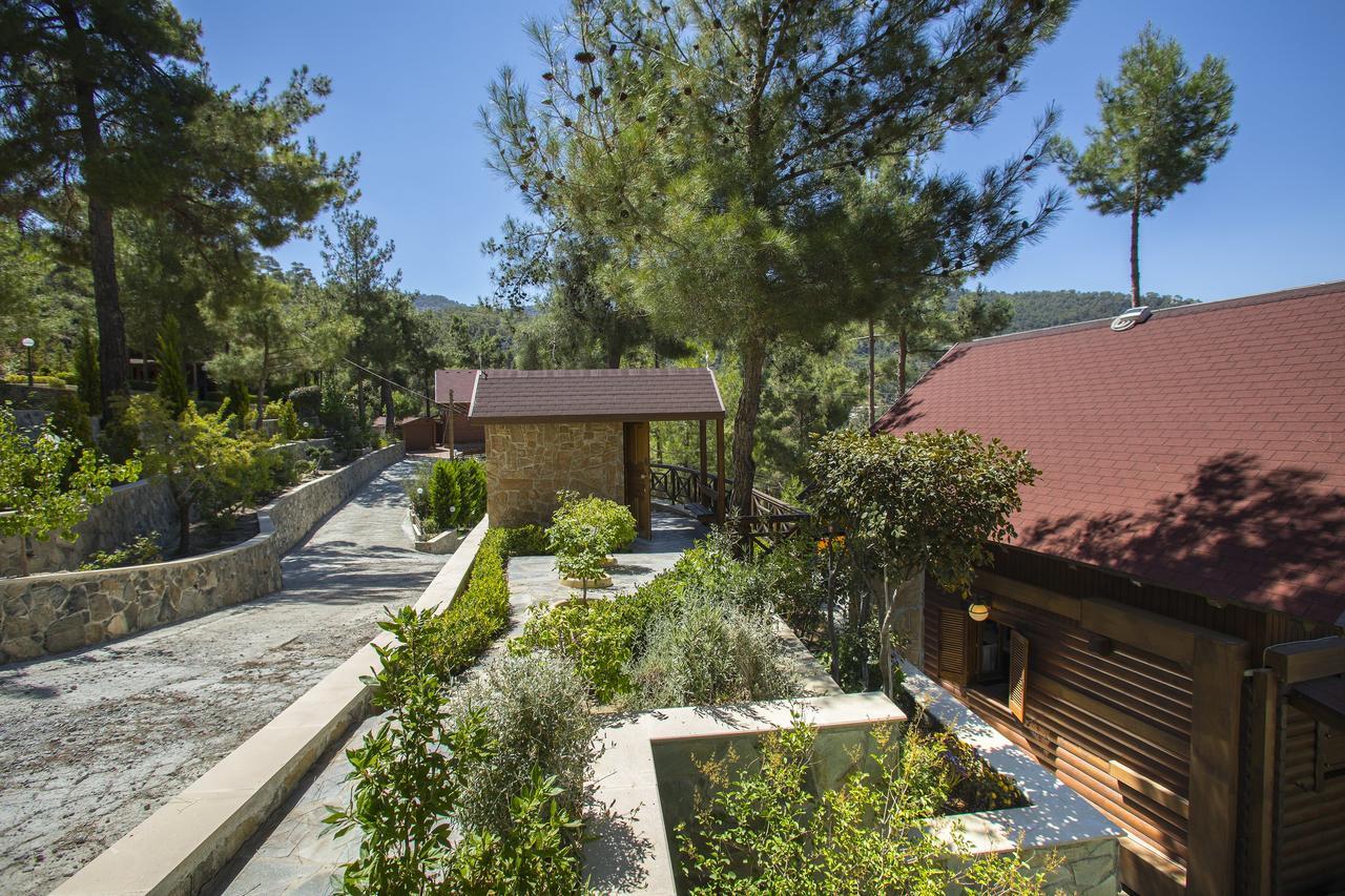 Ricky Chalet Near Troodos Βίλα Σπήλια Εξωτερικό φωτογραφία