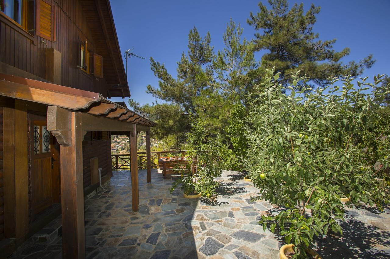 Ricky Chalet Near Troodos Βίλα Σπήλια Εξωτερικό φωτογραφία